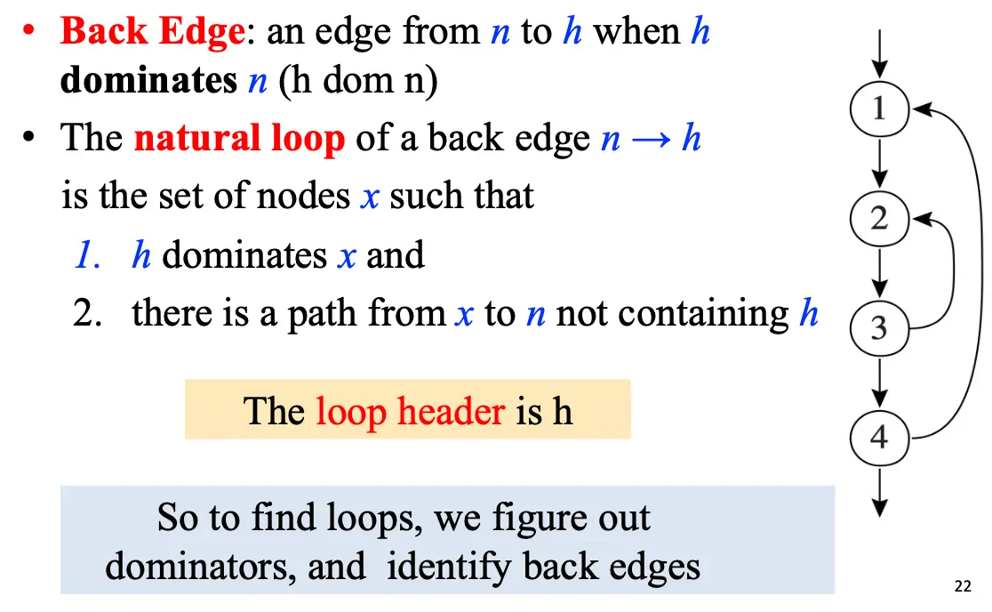 Natural Loop